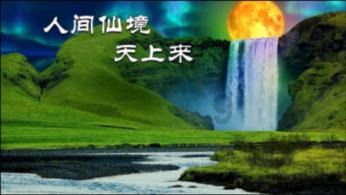 创作猫